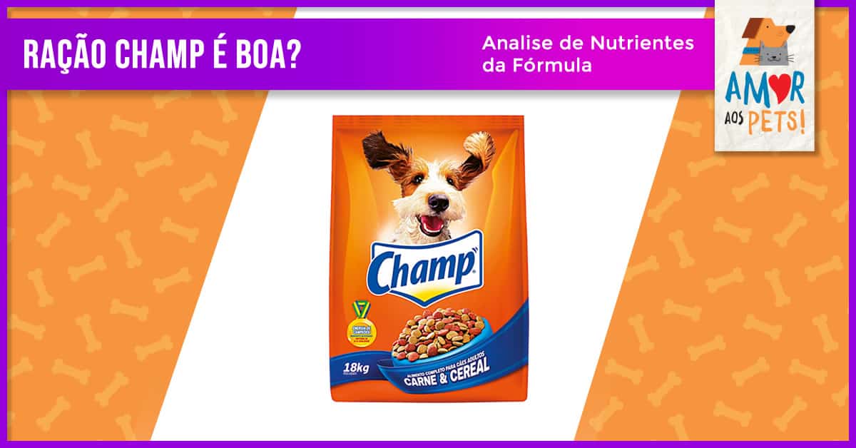 Ração Champ é Boa Confira os Prós Contras Amor aos Pets